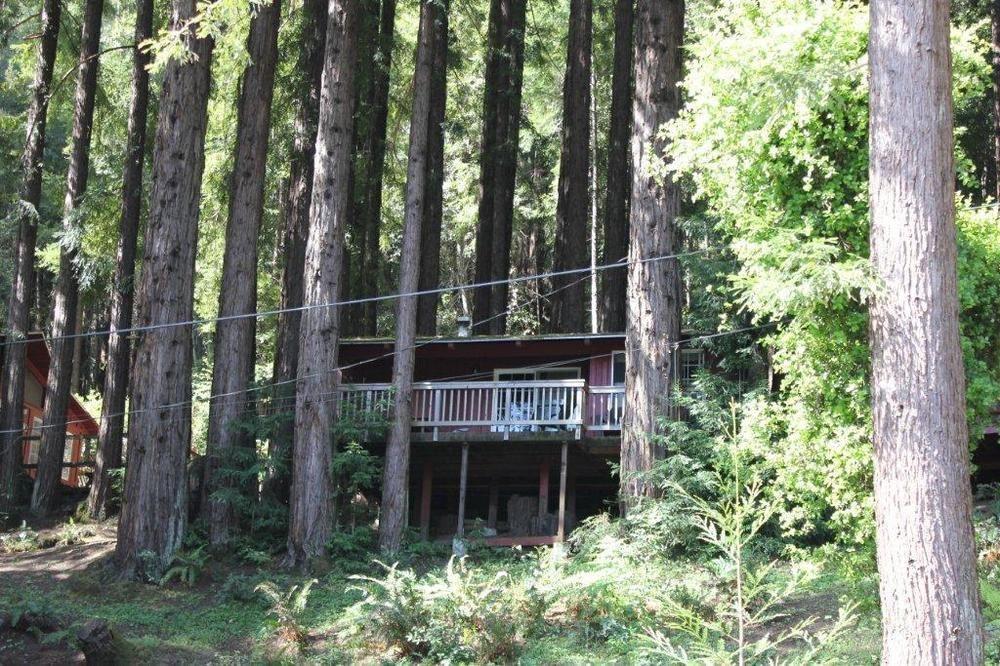 Jayes Timberlane Resort Ben Lomond Екстериор снимка